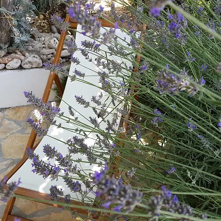 Angelus Апартаменты *