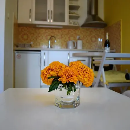 Angelus Apartment *