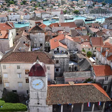 Angelus تروغير