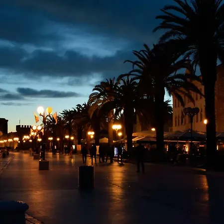 Angelus تروغير