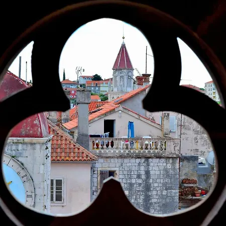 Angelus تروغير