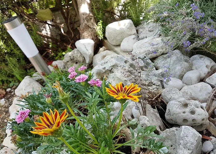 Appartement Angelus *