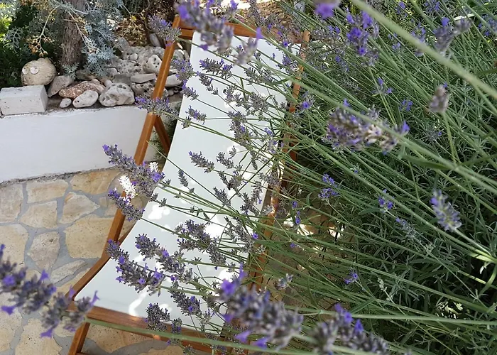 Angelus Appartement *